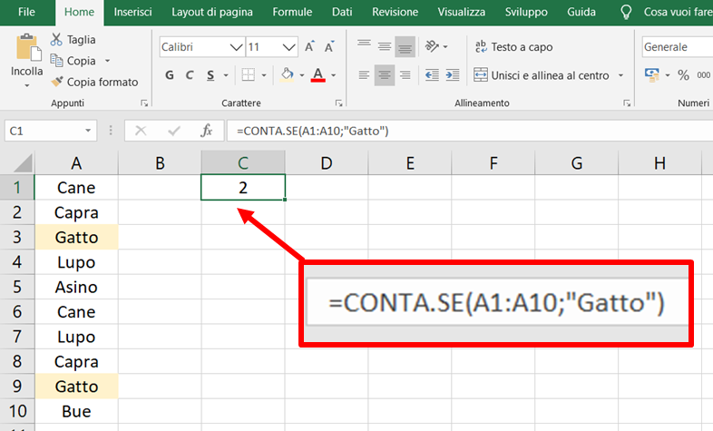 Come si usa la funzione CONTA SE in Excel